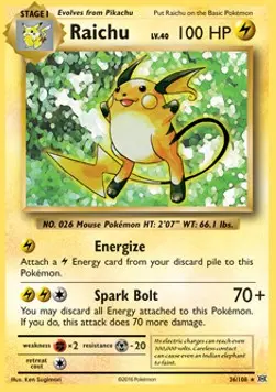 Raichu EVO-36 Holo Rare Englisch