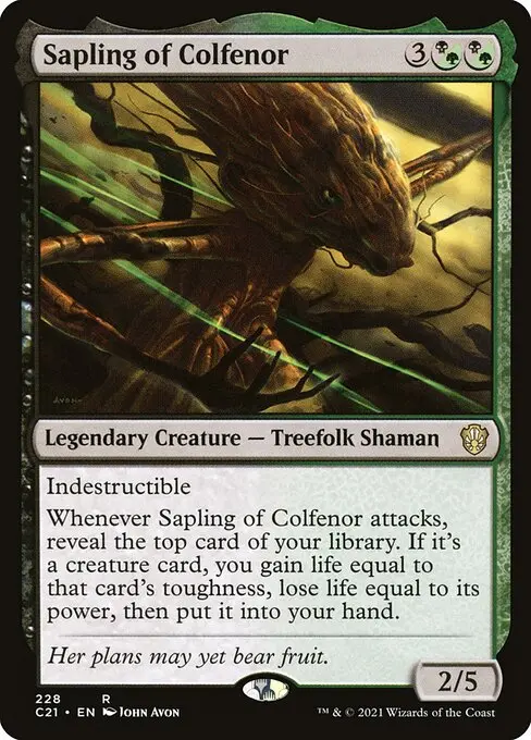 Sapling of Colfenor C21-228 Rare Englisch