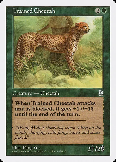 Trained Cheetah PTK-154 Uncommon Englisch